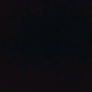 Meet your Posher, Earl